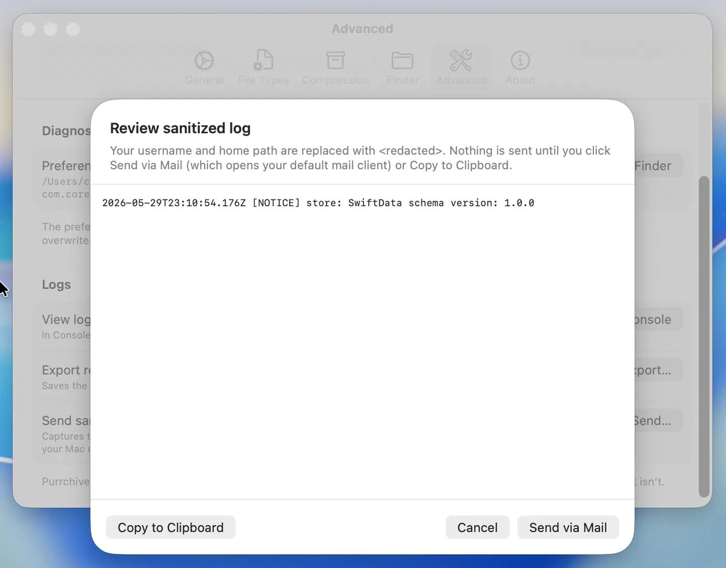 Sanitized log preview sheet before sending